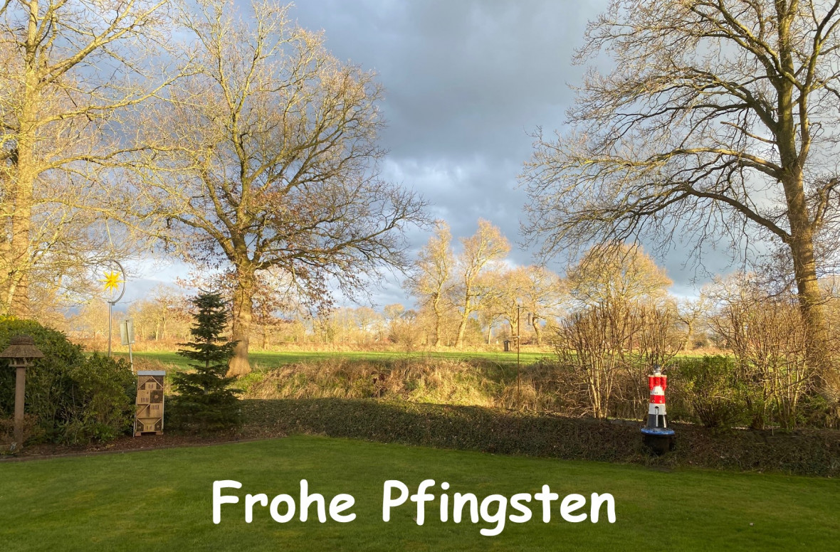 Ein Blick aus dem Fenster in die Natur zu Pfingsten